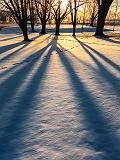 Sunrise Shadows_02011